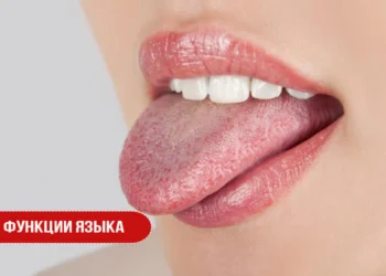 Функции языка