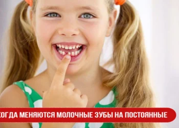 Когда меняются молочные зубы на постоянные